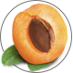 Abrikozen_Apricot